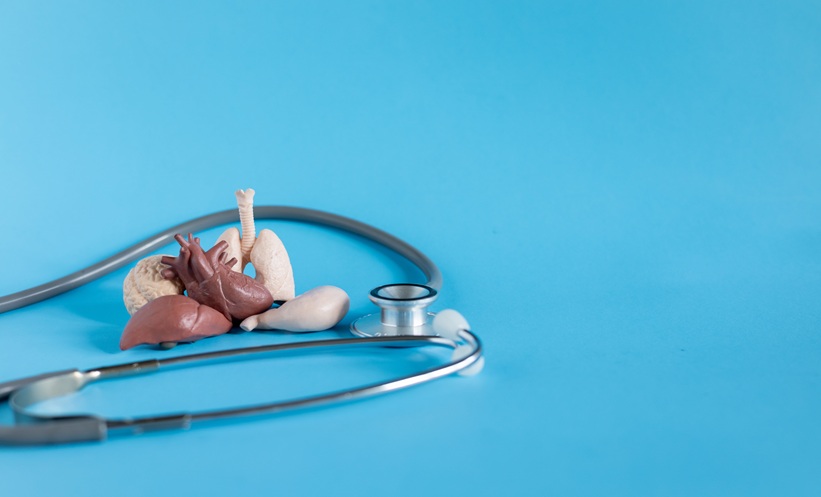 صحة البروستاتا: دليلك الشامل للفهم والحفاظ على الصحة