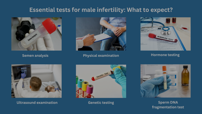 العقم الذكوري: نظرة علمية حديثة وتحليل شامل