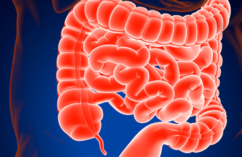 القولون العصبي: الدليل الشامل والمبسط لفهم الحالة والتعامل معها