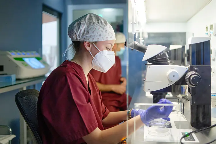 أطفال الأنابيب: دليل شامل حول علاج العقم وخصوبة المرأة