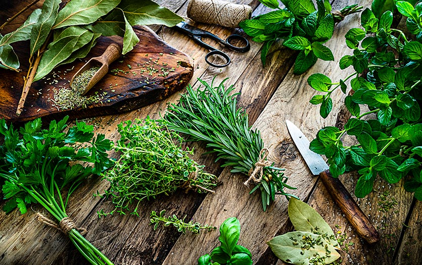 فوائد إكليل الجبل: علاج طبيعي متعدد الأبعاد