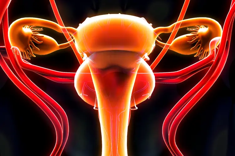 سن اليأس: مرحلة التحول الحيوي في صحة المرأة