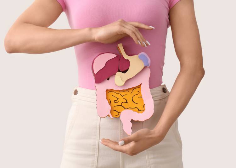 مكملات للأمعاء: استكشاف أحدث التطورات في صناعة الصحة والرفاهية المعوية