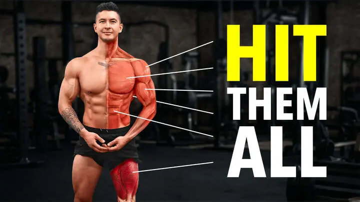 بناء العضلات: دليل شامل لتعزيز القوة واللياقة البدنية