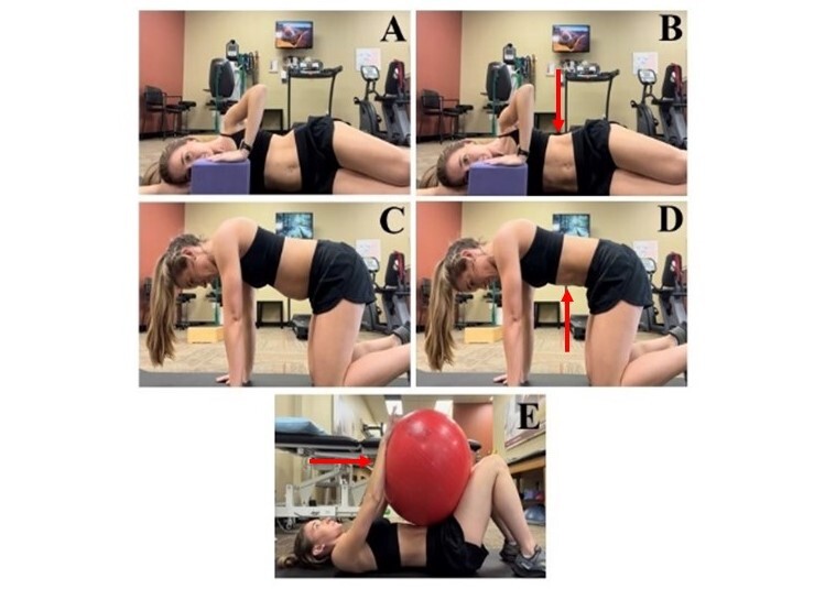 تمارين ما بعد الولادة: استعادة اللياقة والصحة بعد الحمل والولادة
