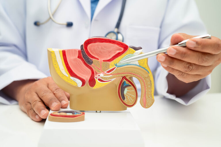 سرطان البروستاتا: نظرة شاملة على مرض يصيب صحة الرجل