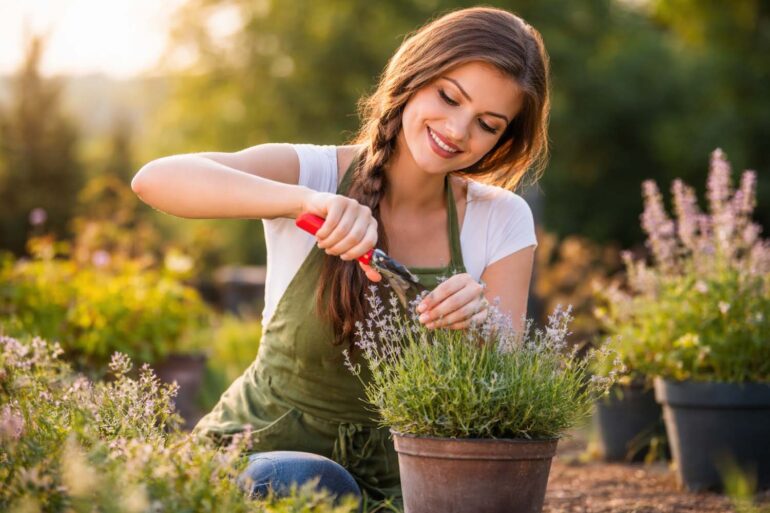 كيف علاج الحساسية الموسمية (حساسية الربيع) طبيعياً؟