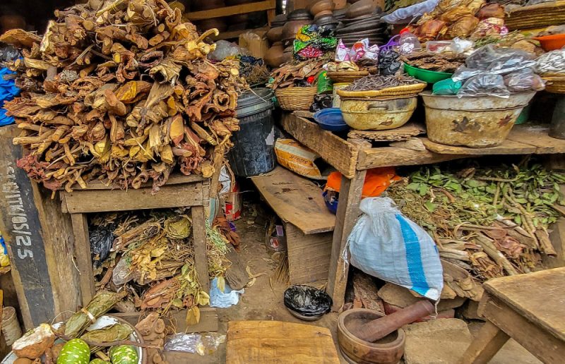 الطب العربي التقليدي: إرث طبي عريق يتطور نحو المستقبل