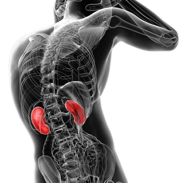 سلس البول: دراسة متعمقة حول الحالة وأنواعها وأسبابها وتأثيراتها