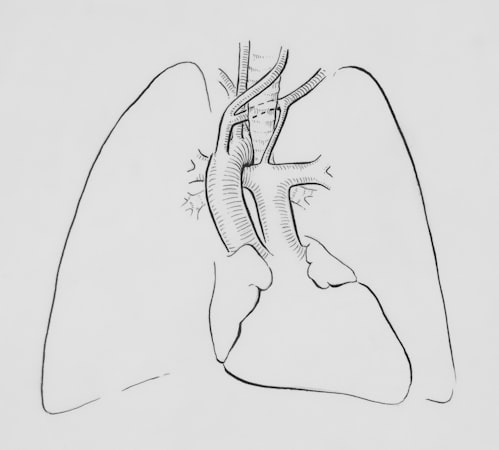 التهاب الشعب الهوائية: التصنيف، الأعراض، والتأثيرات على نمط الحياة