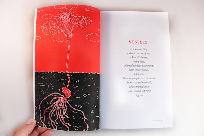 آلام الدورة الشهرية: رؤى علمية حديثة ومفاهيم صحيحة وخرافات منتشرة