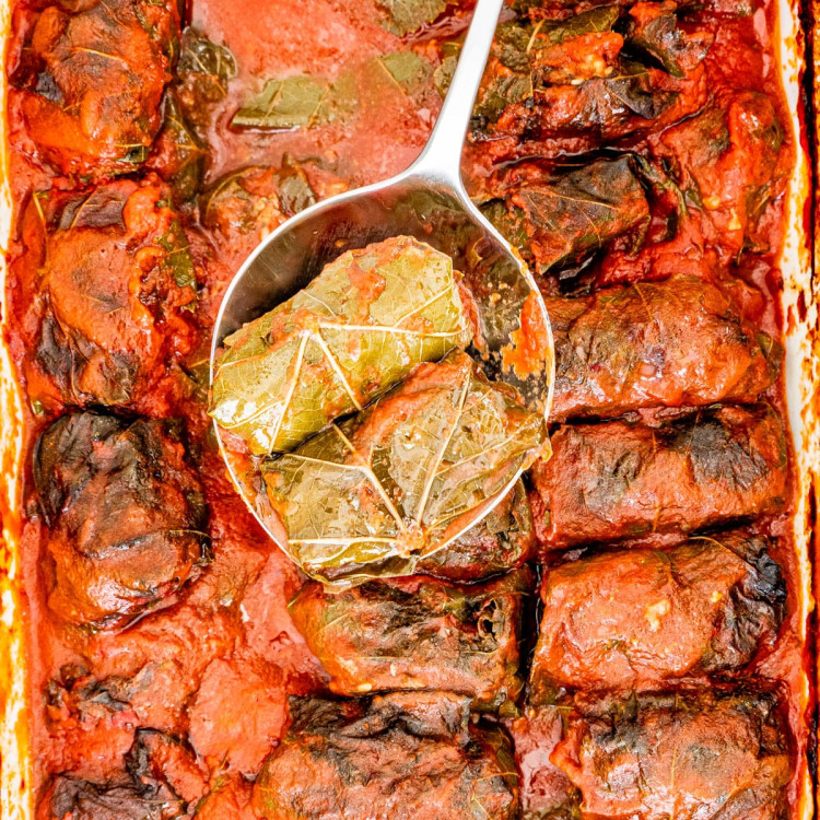 ورق العنب بالطماطم والأعشاب الصحية